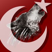 Zeki