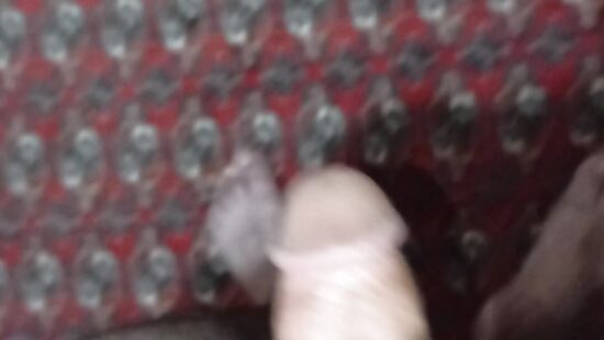 Penis