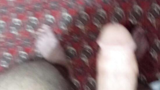 Penis